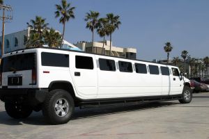 Limousine Insurance in St. Louis Park, Minneapolis, Minnetonka, Eden Prairie, Hennepin County, MN